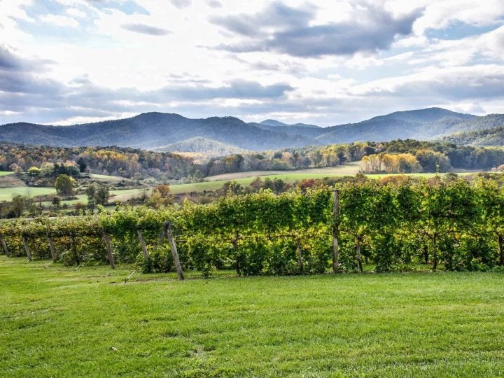 Family-Friendly Northern Virginia’s Wine Country