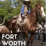 Fort Worth: Two Days in Cowtown with Kids 1