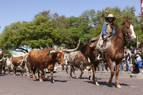 Visiting Fort Worth Texas with kids