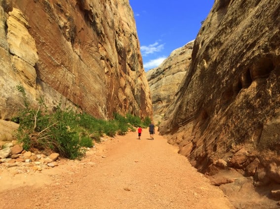 Hiking through Grand Wash in Capitol Reef