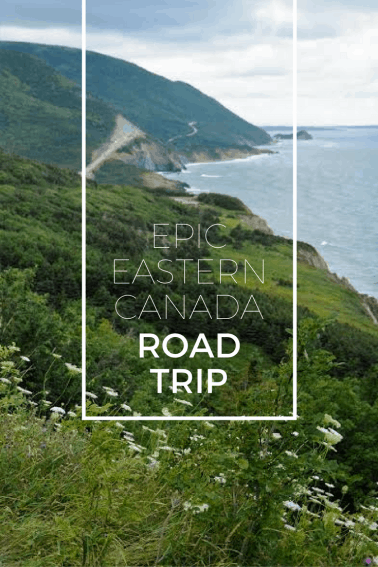 Ultimate Guide to Family Road Trips with Kids 11