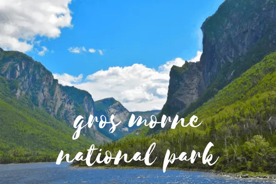 Exploring Gros Morne National Park with Kids