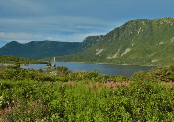 newfoundland-trans-canada-highway