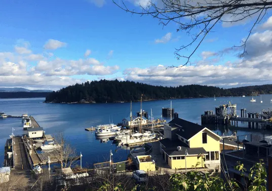 San Juan Island Vacations: Off Season Fun for Families in Washington