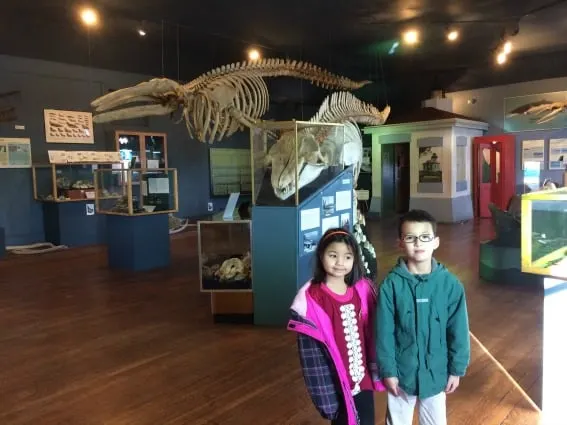 Museums on San Juan Island, Washington