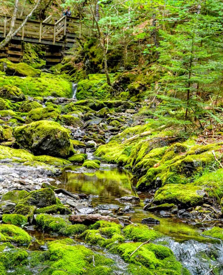 Places to Visit in Eastern Canada Fundy National Park