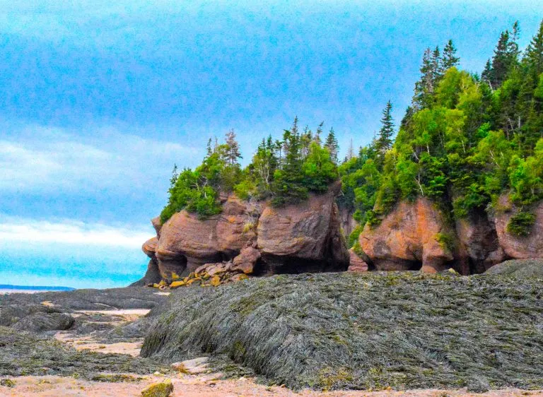 Places to Visit in Eastern Canada Hopewell Rocks