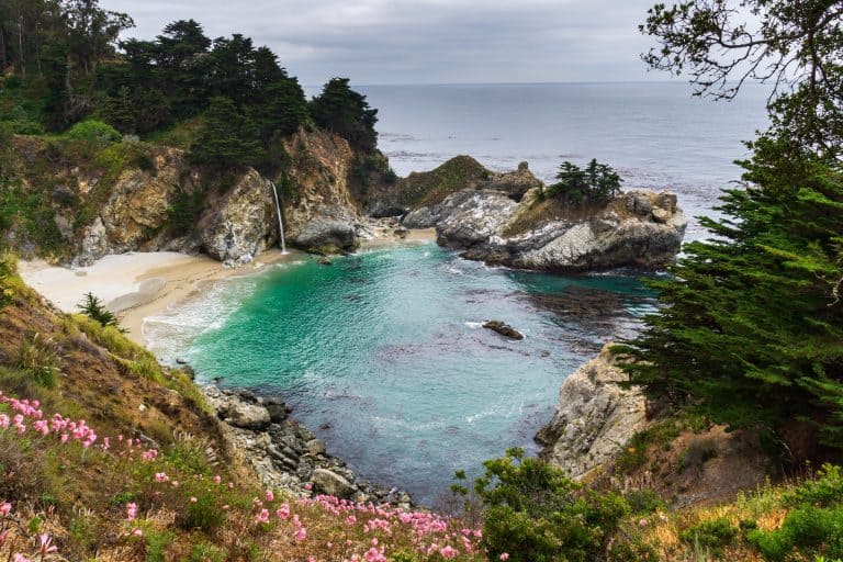 McWay falls on the Big Sur Coast is a must see when visiting California with kids. 