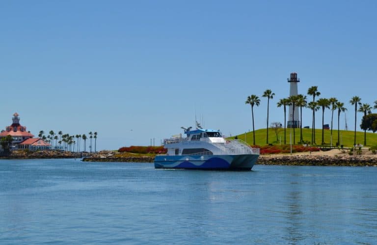 Harbor Cruise Thigns to do in Long Beach with kids