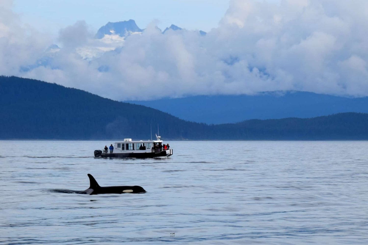 Uncruise Alaska- Small Ship Alaska Cruise with Kids