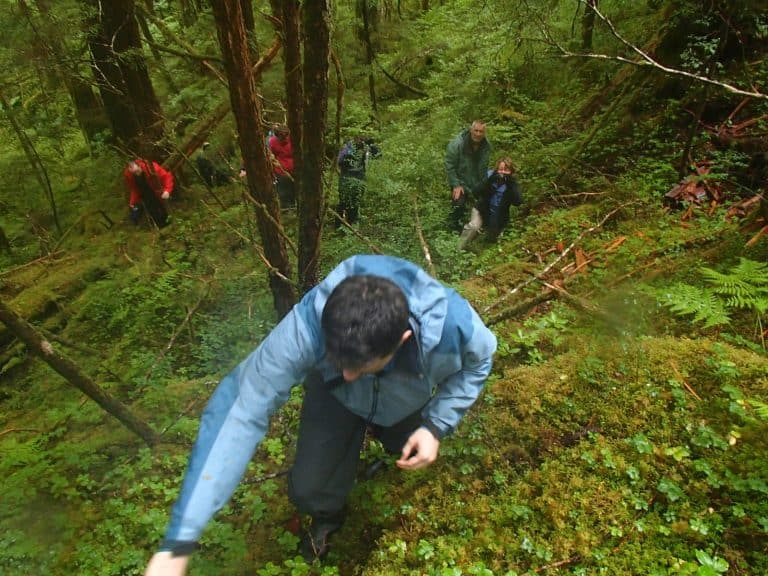 Uncruise Alaska Small Ship Alaska Cruise with kids bushwhacking