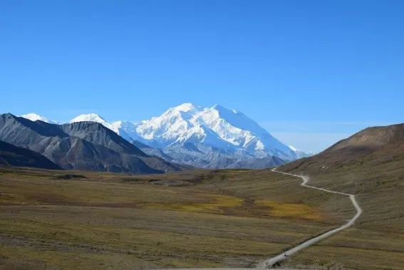 Denali National Park Epic Alaska Cruise Adventure with Kids