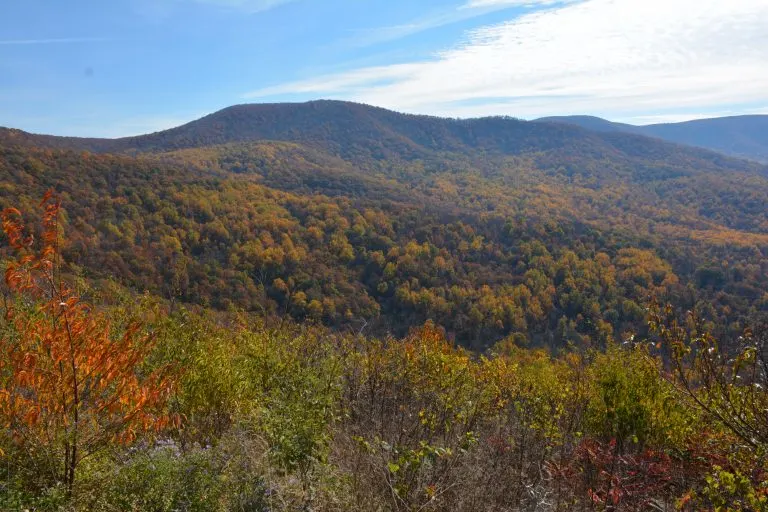 Shenandoah National Park is a day trip from Washington DC