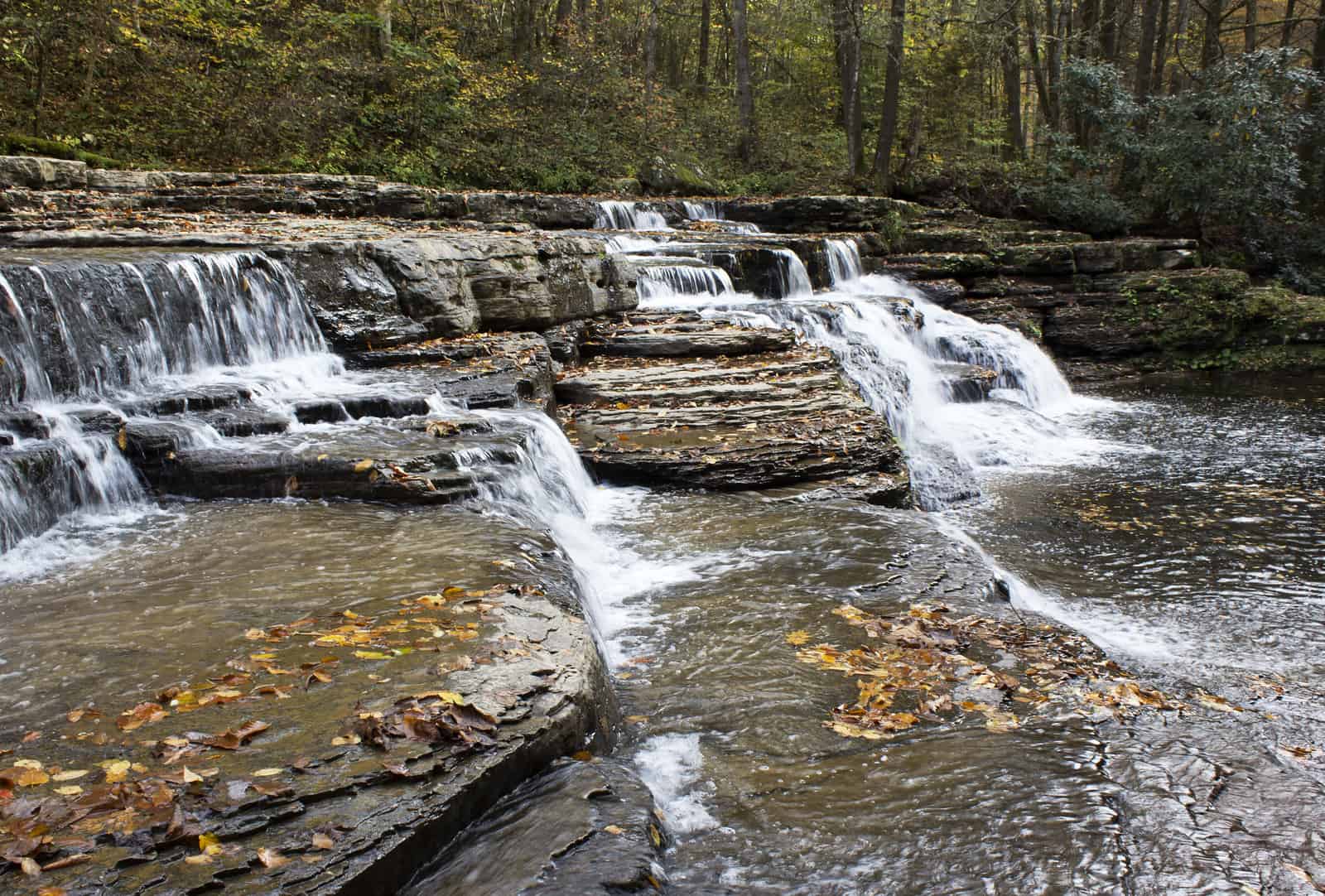 Camp Creek state park is a good place to stop on your drive to Orlando 