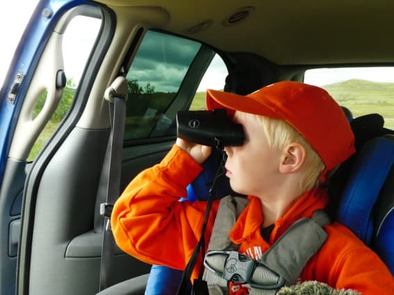 Looking for the wildlife in Theodore Roosevelt National Park 