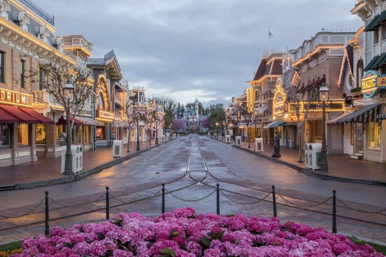 DIsneyland tips and tricks for first timers