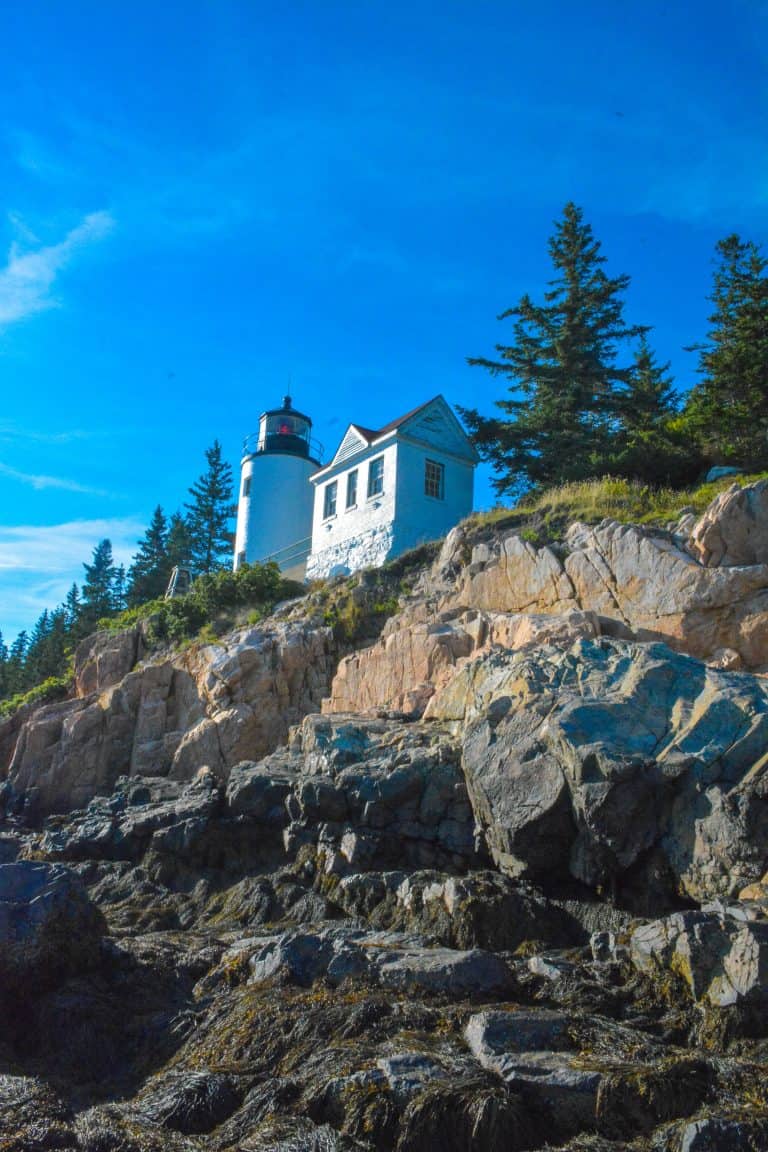 Best Things to Do in Acadia National Park with Kids 33