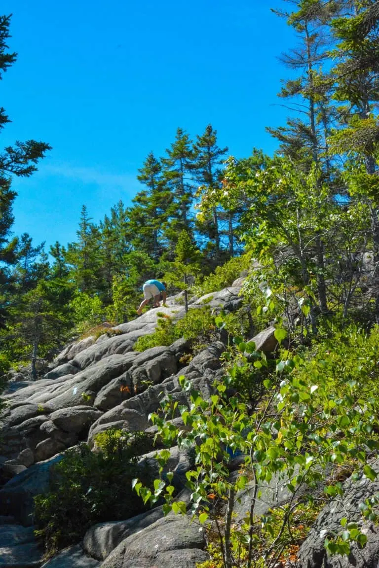 Best Things to Do in Acadia National Park with Kids 13