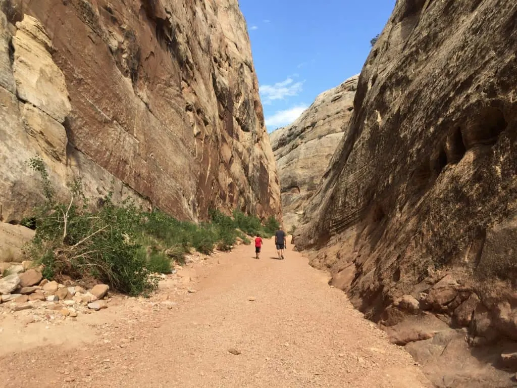 Capitol Reef Grand Wash