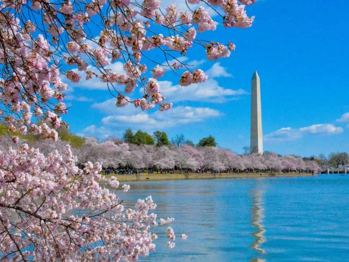 Free Things to Do in Washington DC with Kids
