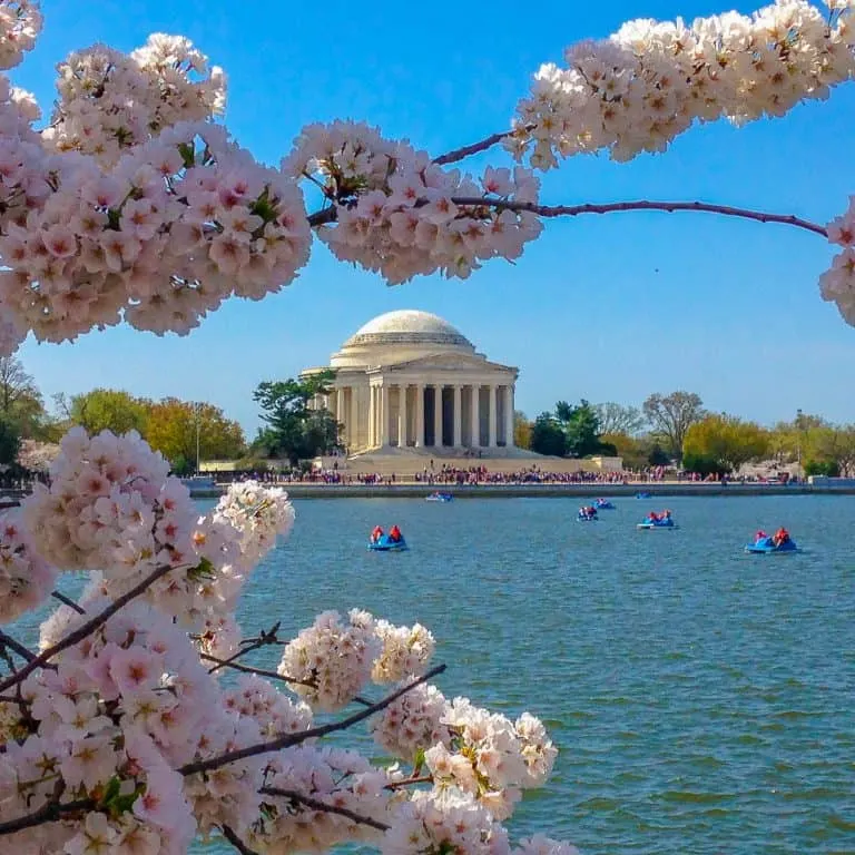 Free things to do in DC National Mall
