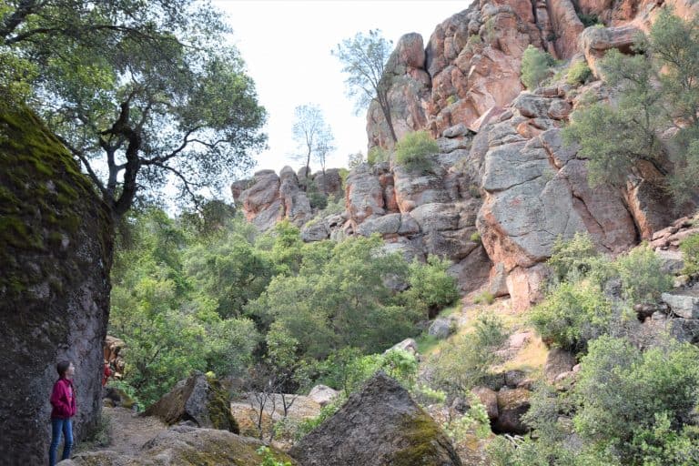 Things to do in Pinnacles National Park