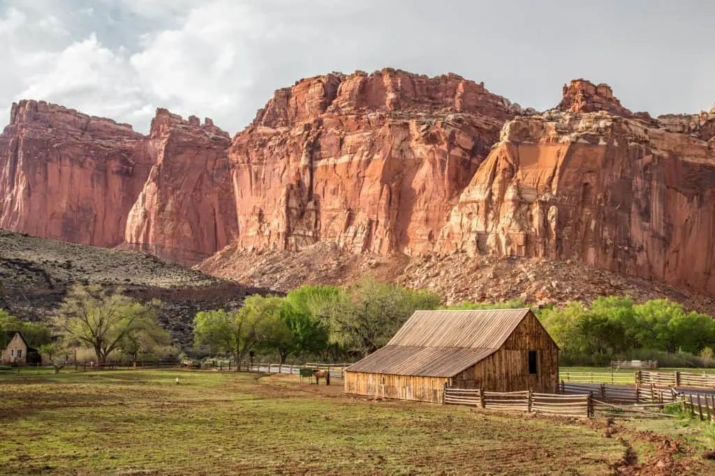 Things to so in Capitol Reef National Park include visiting the orchards in Fruita