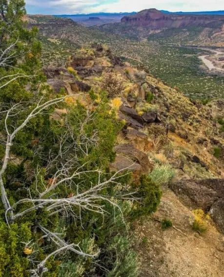 Los Alamos, New Mexico Landscape