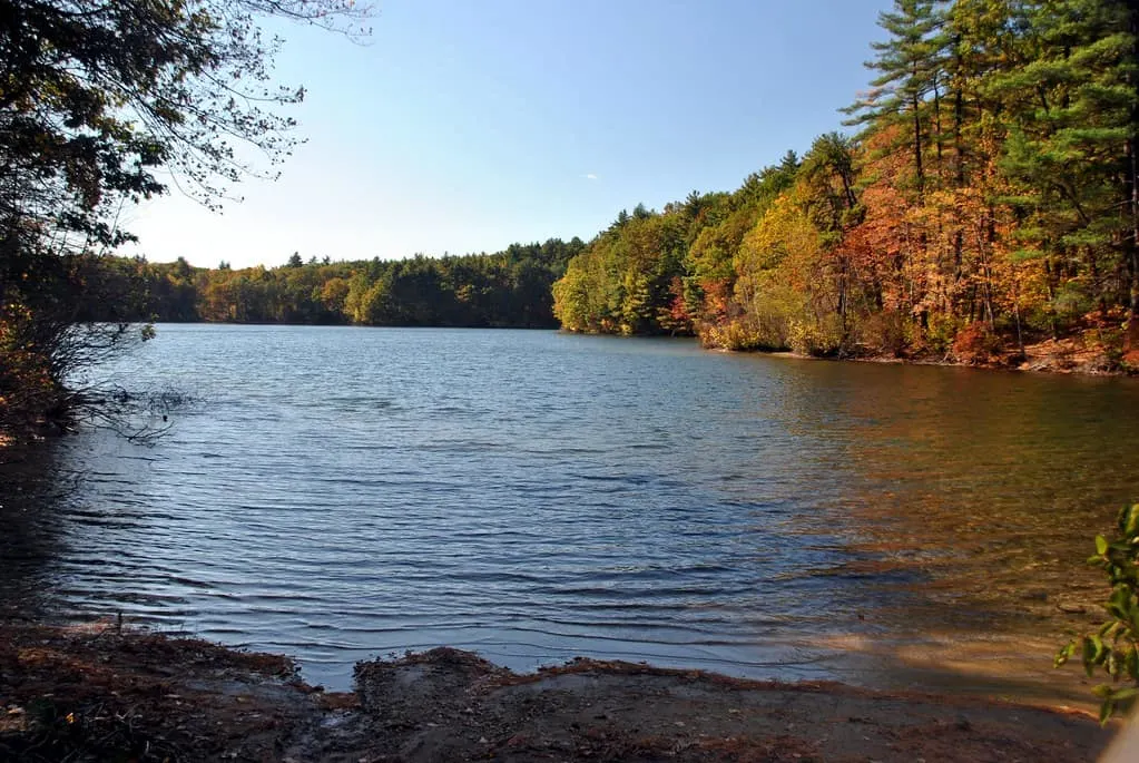 Walden Pond photo