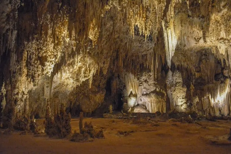 New Mexico Family Vacation at Carlsbad Caverns National Park