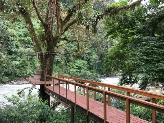 costa rica eco-lodge tree canopy