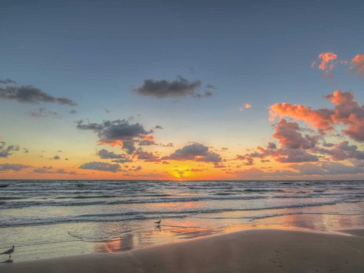 10 Fun Things to Do in South Padre Island