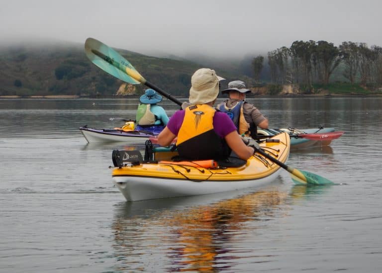 One of the best campgrounds in California is at Tomales Bay