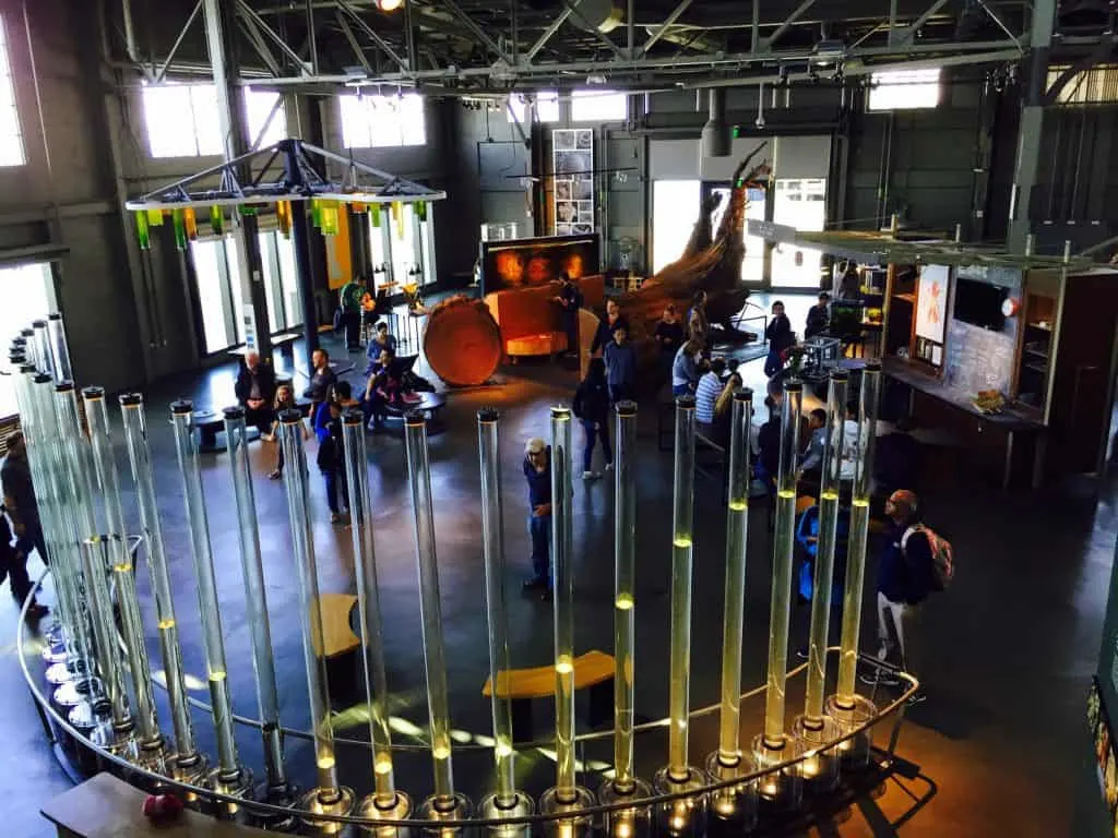 A visit to San Francisco with kids must include a stop at the Exploratorium
