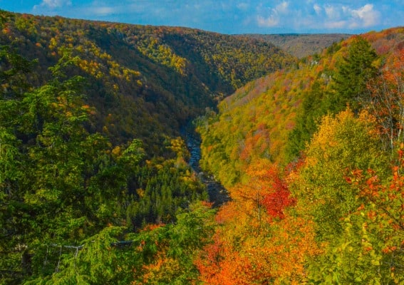 Road Trips from DC West Virginia Road Trip to the New River Gorge