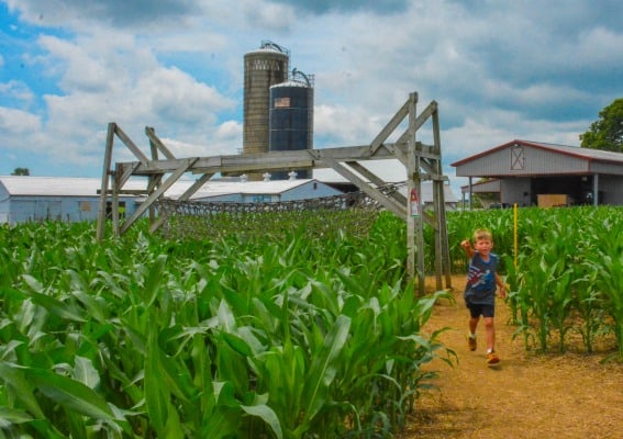 Visit Lancaster, Pennsylvania's Dutch Country, for Family Fun on the Farm 3