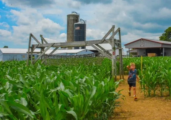 Visit Lancaster, Pennsylvania's Dutch Country, for Family Fun on the Farm 1