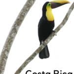 Costa Rica Eco-lodges: Raising the Bar for Sustainability 1