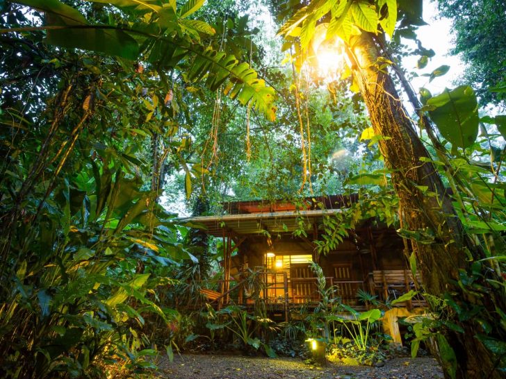 Costa Rica Eco-lodges: Raising the Bar for Sustainability