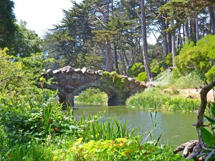 Things to do in Golden Gate Park