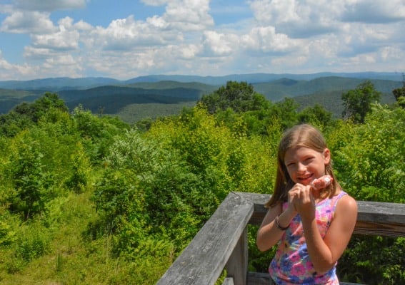 Road Trips from DC West Virginia Road Trip to the New River Gorge