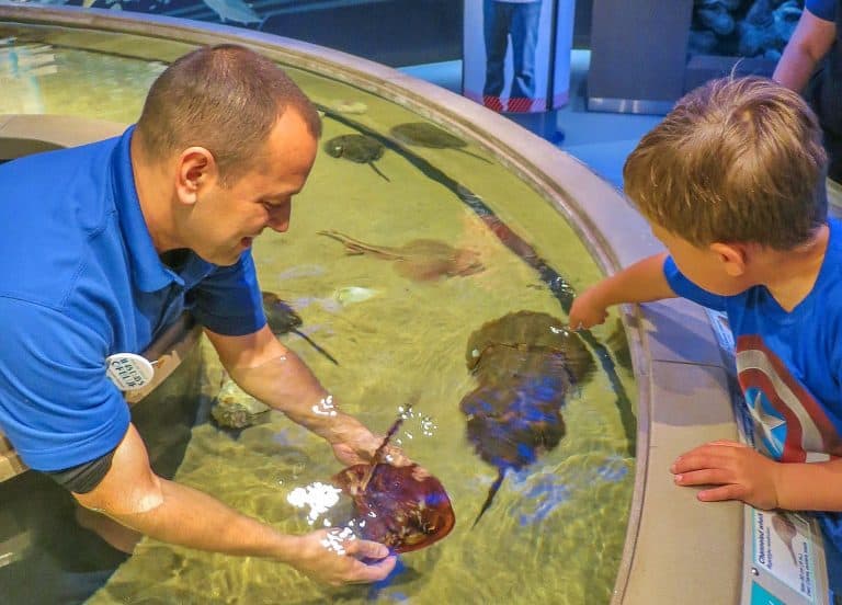 National Aquarium