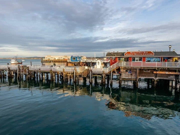 Things to do in Monterey with Kids