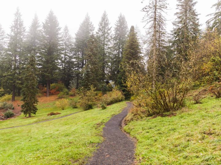 Favorite Places to Walk or Hike in Oregon