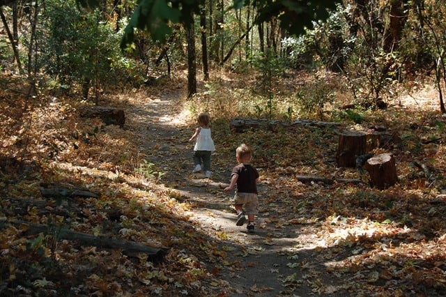 California fall colors bothe napa valley state park