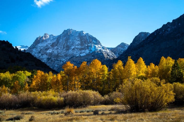  June Lake is a great place to enjoy fall in California