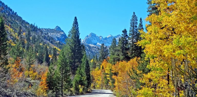 California Fall Foliage Bishop Creek Canyon 