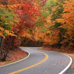 Amazing Places to View Fall Colors in Georgia