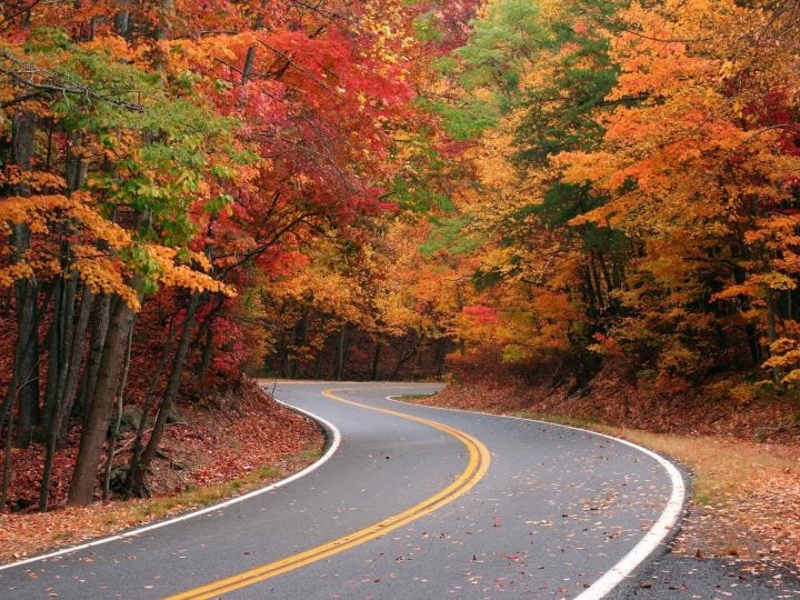 5 Best Places to View Fall Colors in Georgia