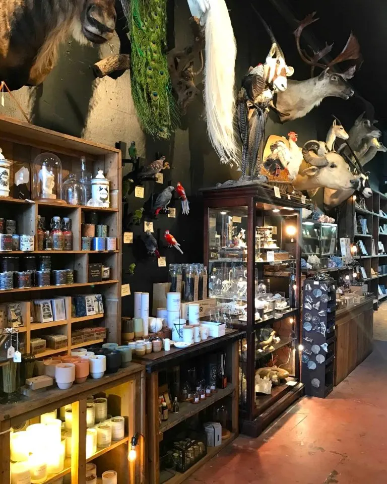 20 Cool Things to do in Portland with Kids 17 Paxton Gate in Portland
